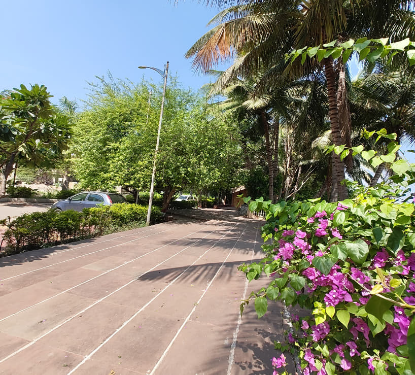 MITADT Campus photo 12